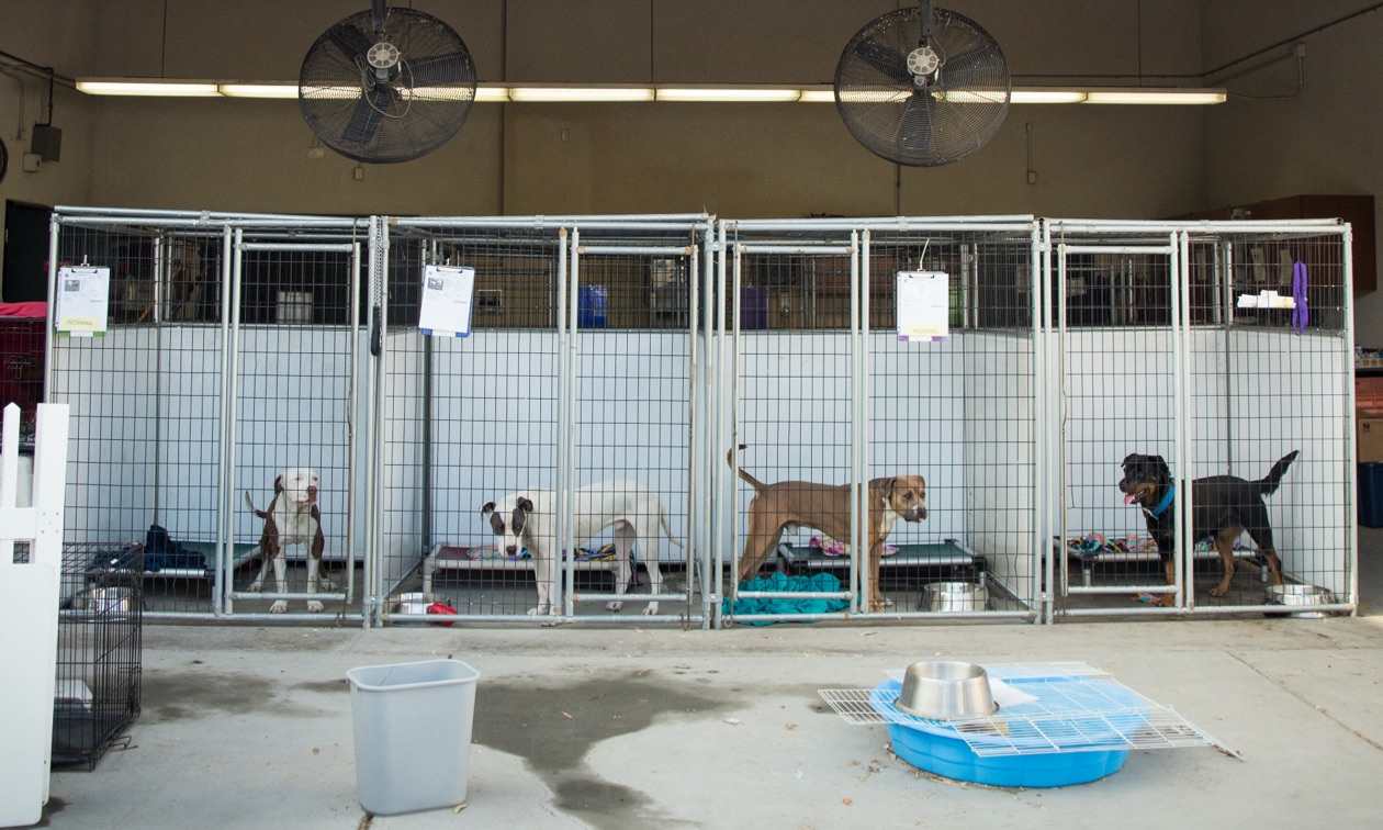 avondale-az-pete-and-macs